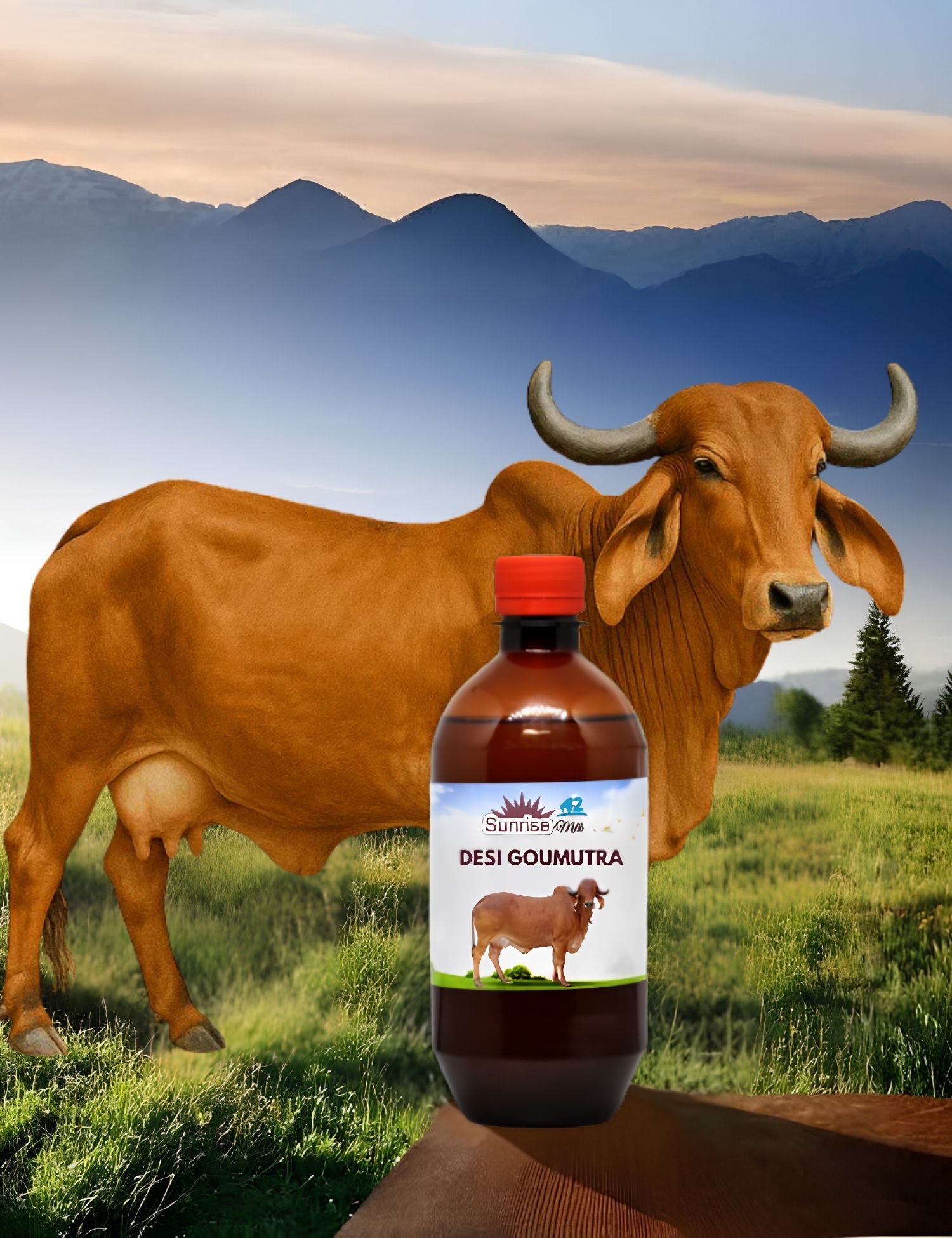 Pure Desi Gir Cow Gomutra